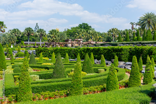 Ornamental garden decorated in a beautiful garden