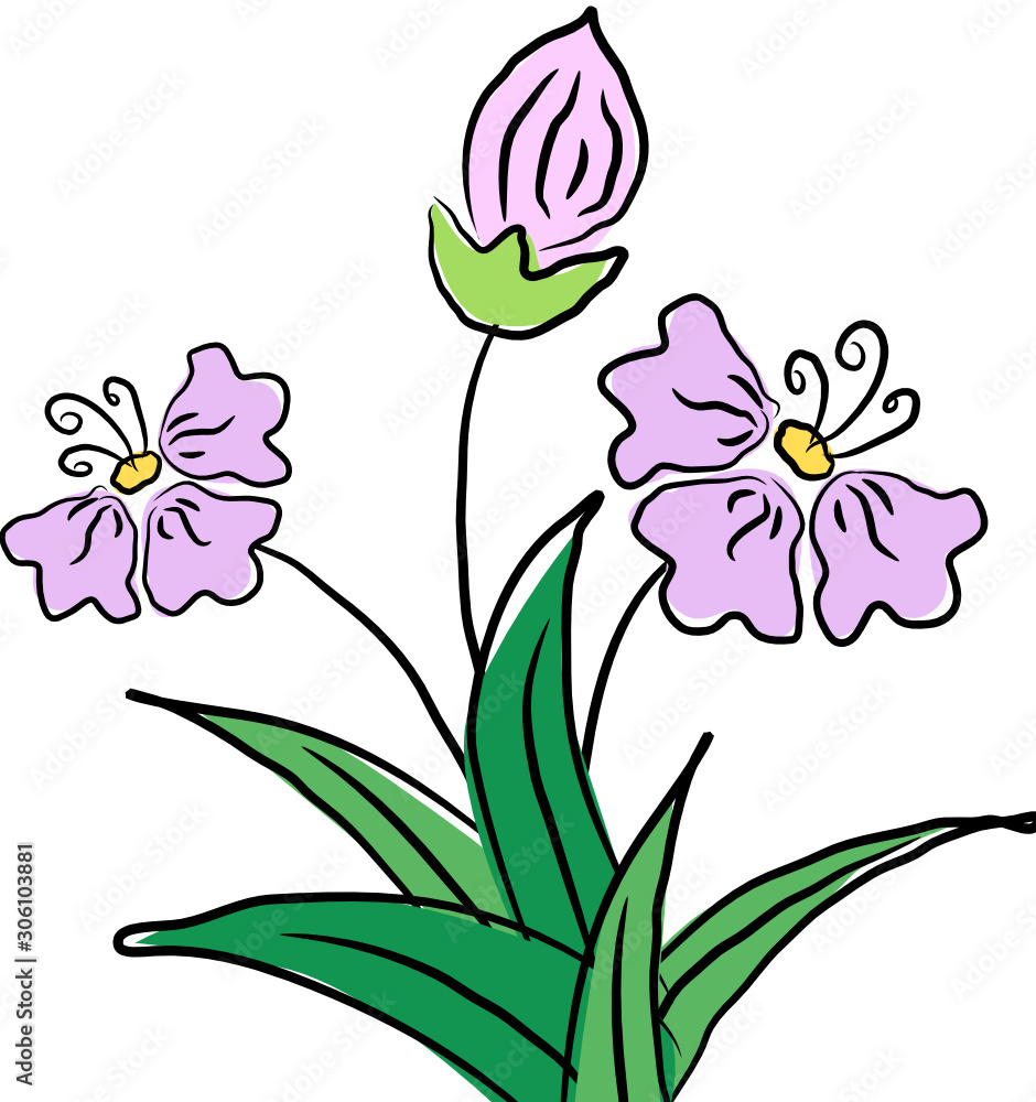Cute purple flower plant