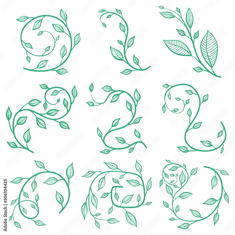 Flourishes, vector concept in doodle style. Hand drawn illustration for printing.