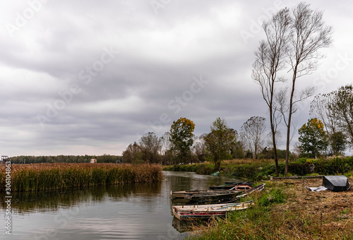Boat on the lake. Empty boats and reeds on the lake shore. Sakarya and autumn...