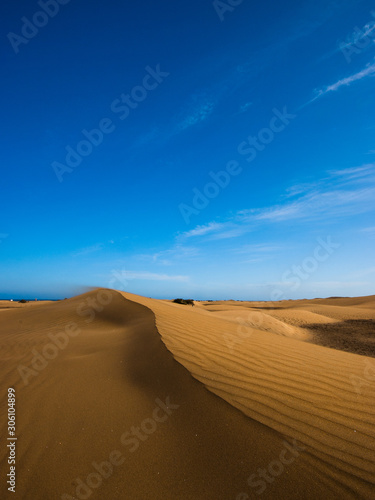 The desert sand dunes "Las Dunas" in Maspalomas on the isle of Gran Canaria