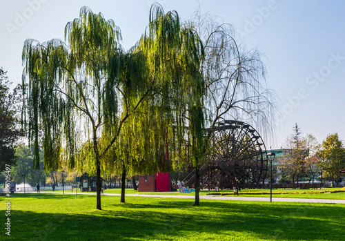 Foliage between water mill and blue sky in background. It can be used in trav...