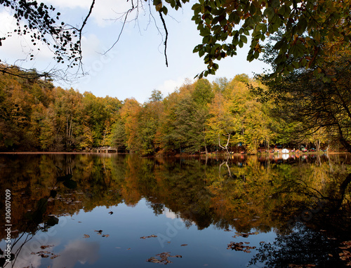 Autumn landscape in Bolu Yedigoller National Park. Yellowed leaves and lake.