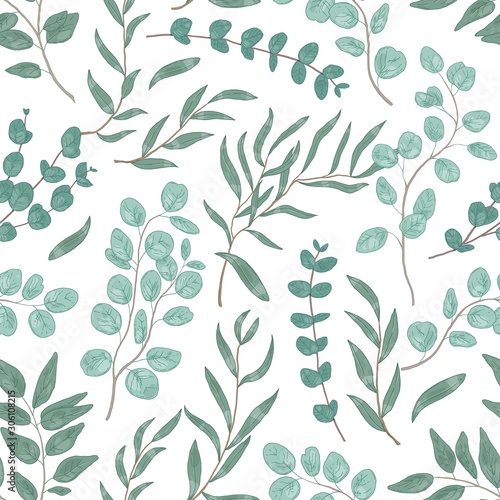 Eucalyptus leaves colorful seamless pattern. Foliage, green floral texture. Hand drawn plant branches and twigs background. Botanical wallpaper, fabric, textile, wrapping paper vector design.