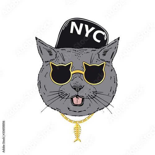 British shorthair breed cat wear cool sunglasses, golden chain isolated on white background Symmetrical pet head portrait. Realistic hand drawn vector illustration.
