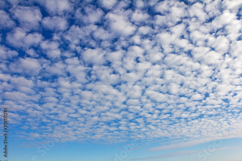 Perspective of cumulus clouds on a blue sky.