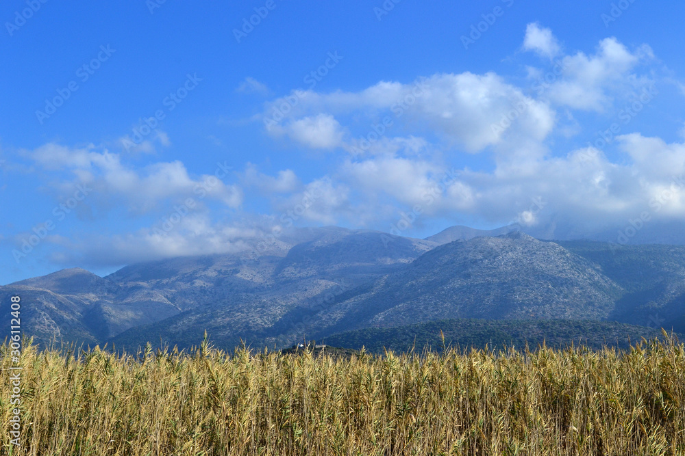Beautiful Mediterranean landscape. Tall dry grass on a background of blue sky and mountains in the shade of clouds. Crete, Greece