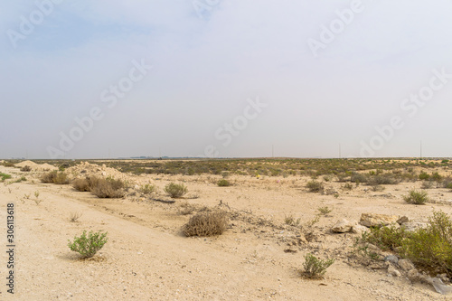 beautiful clear view of desert and grass in bright and beautiful day in Saudi Arabia  © Ali Magsi