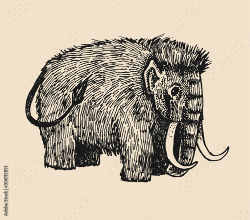 Ink drawn mammoth isolated from background. Ink illustration with mammoth. Prehistoric animal.