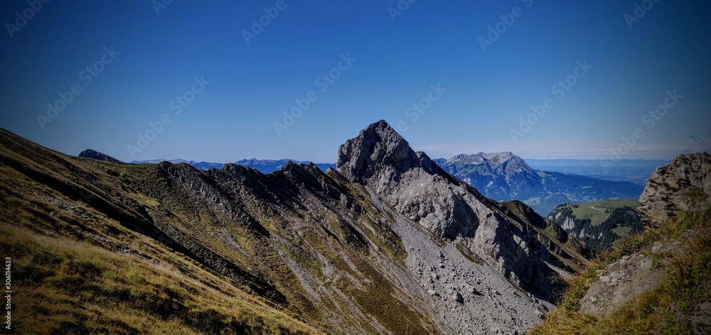 Fototapeta premium Schwalmis