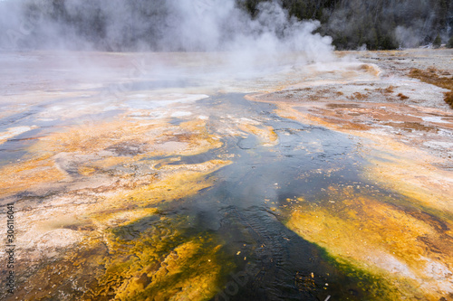 Geyser basin with boiling water from geothermal heat. © jack-sooksan