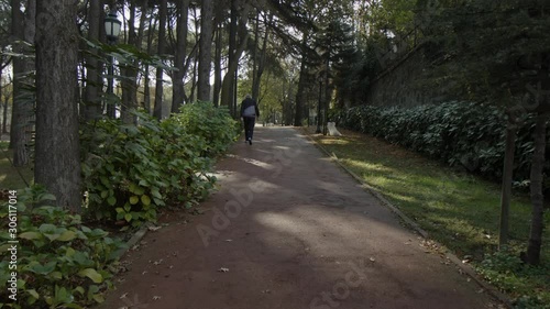 Wallpaper Mural A running track on forest. Sun is shining at noon Torontodigital.ca