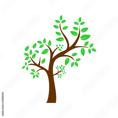 tree icon vector design symbol