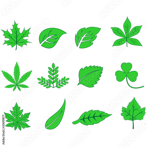 leaf icon  autumn season icon vector design symbol