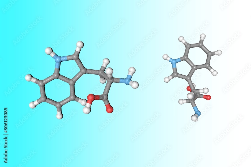 Molecular structure of tryptophan. Atoms are represented as spheres with conventional color coding: carbon (grey), oxygen (red), nitrogen (light blue), hydrogen (white). 3d illustration Molecular structure of tryptophan. Atoms are represented as spheres with conventional color coding: carbon (grey), oxygen (red), nitrogen (light blue), hydrogen (white). 3d illustration