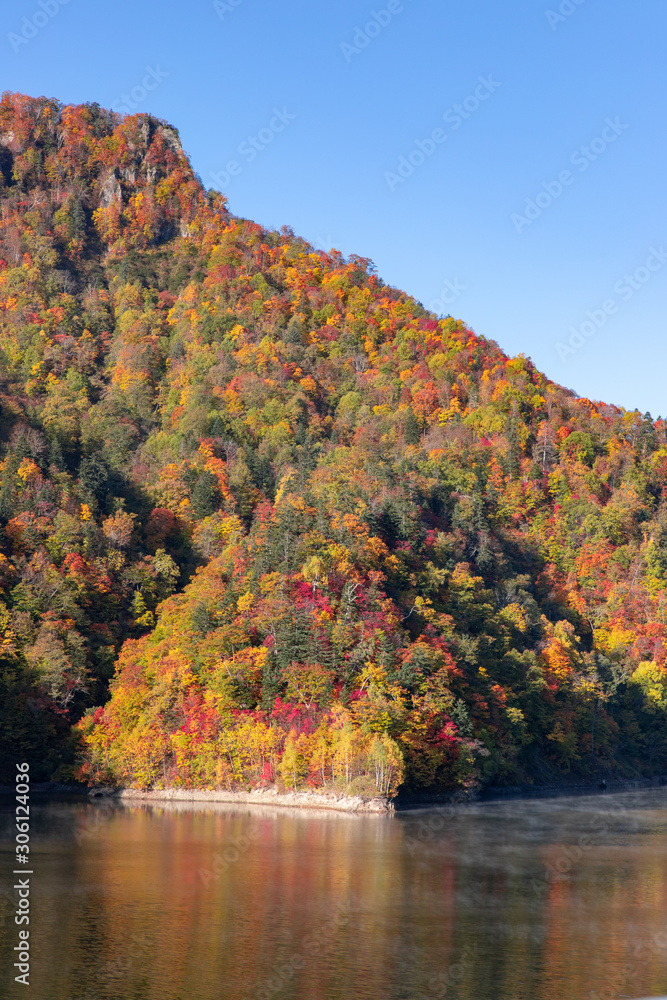 Obraz premium 札幌湖の紅葉