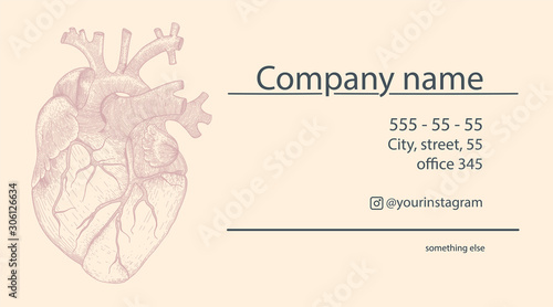 Vector business card for cardiologist with realistic heart . Vintage illustration with anatomy organ for promotion 