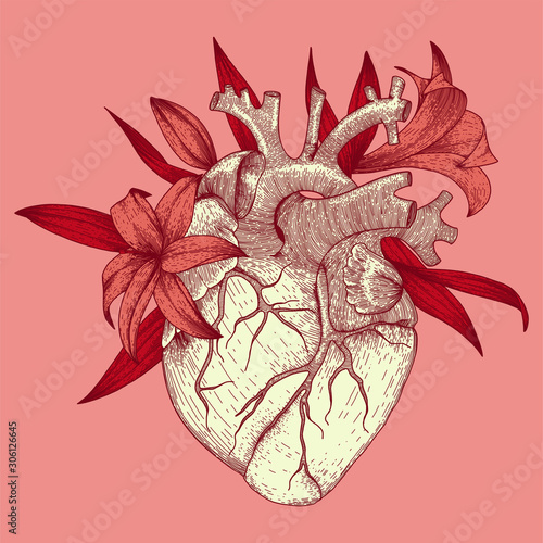 Vector illustration of anatomy heart with lily flowers for t-shirt print for st. valentines day