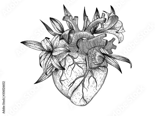 Vector realistic heart with lily flowers . Anatomy human organ image for t-shirt print