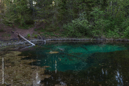 Fototapeta Naklejka Na Ścianę i Meble -  Sacrificial Saula blue springs in a pond, Estonia, Europe. Natural wonder