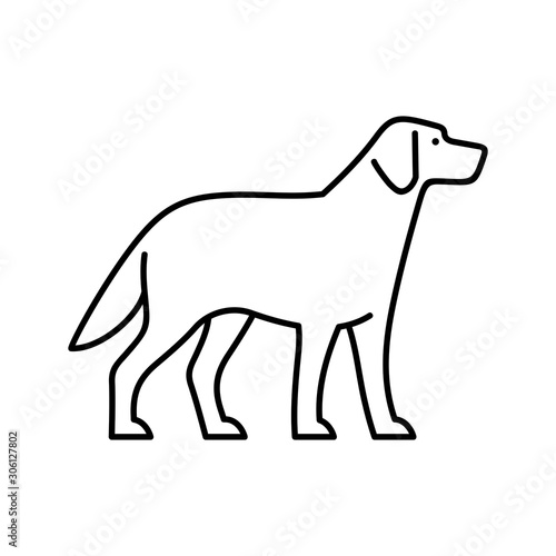 Dog line icon. Icon design. Template elements