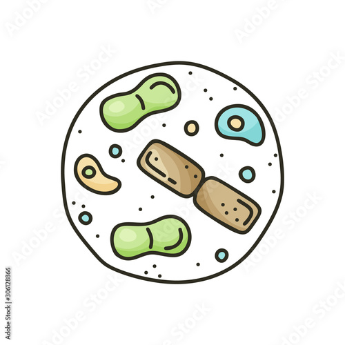 Doodle bacteria icon. Different types of microorganisms in circle. Cartoon illustration for biology, science, laboratory on white background. Hand drawn isolated vector image