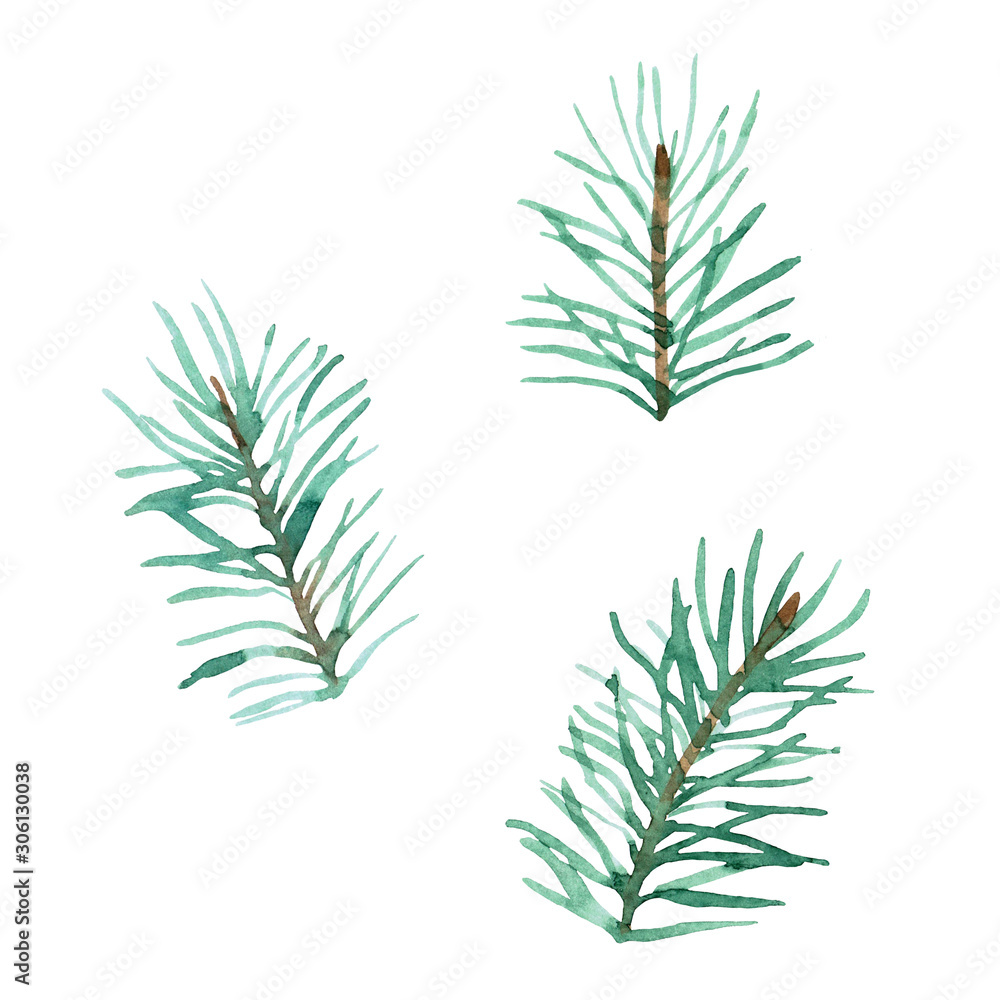 Watercolor illustration.Set with simple spruce twigs, cool green, isolated on a white background. Watercolor illustration.Set with simple spruce twigs, cool green, isolated on a white background.