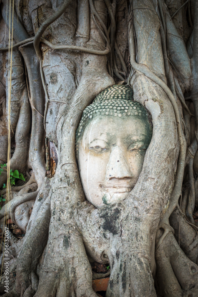 Buddha Head in Tree Roots, Wat Mahathat, Ayutthaya, Thailand