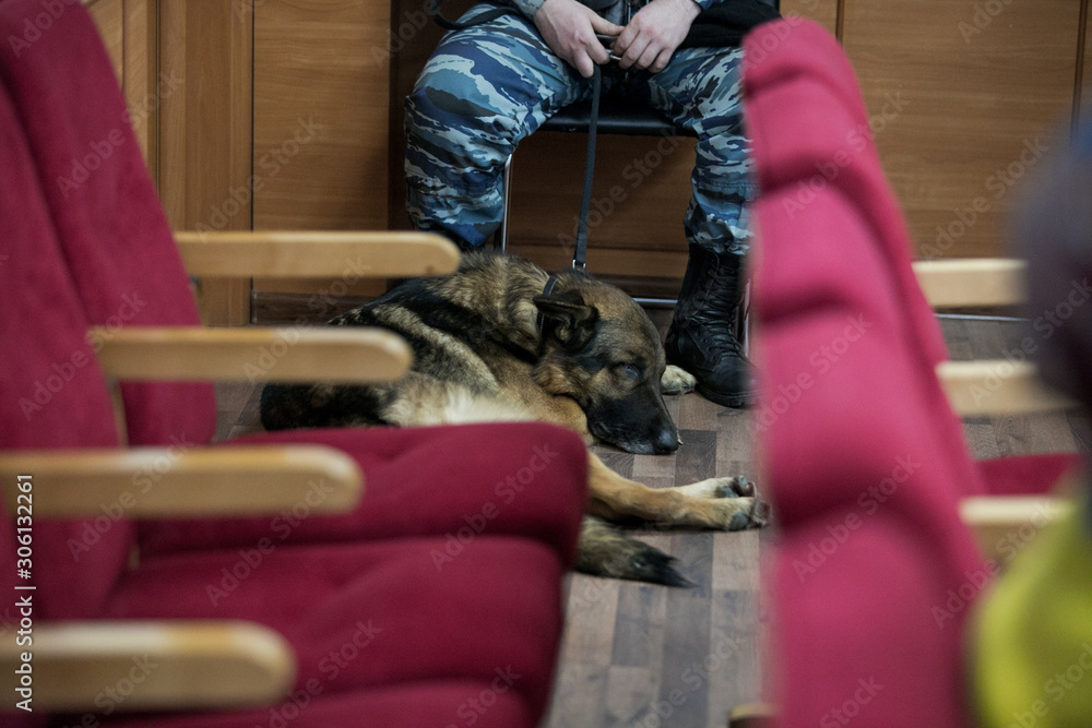 courtroom of the Russian court courtroom of the Russian court