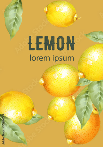 Lemons with green leaves natural composition vectors