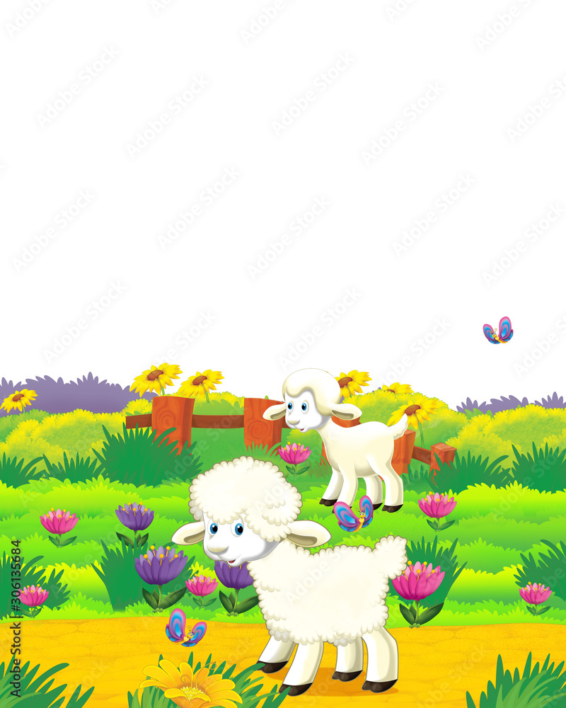cartoon scene with sheep having fun on the farm on white background - illustration for children cartoon scene with sheep having fun on the farm on white background - illustration for children