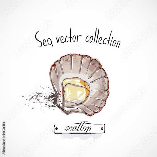 Hand drawn set watercolor ink, menu restaurant, sketch cartoon print vector illustration, sea food