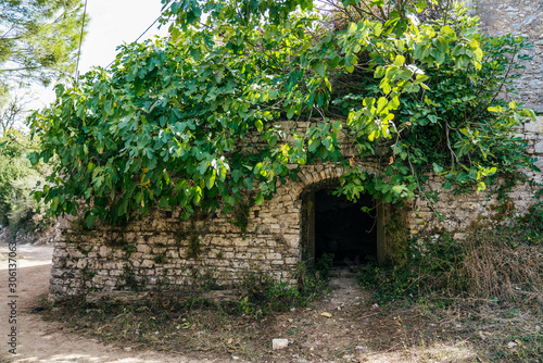 Fototapeta Naklejka Na Ścianę i Meble -  Ruins of stone building in Old Perithia, Corfu. Tree growing through the roof