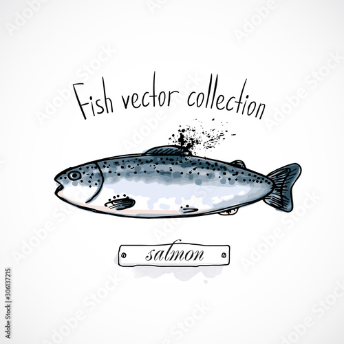 Hand drawn set watercolor ink, menu restaurant, sketch cartoon print vector illustration, sea food