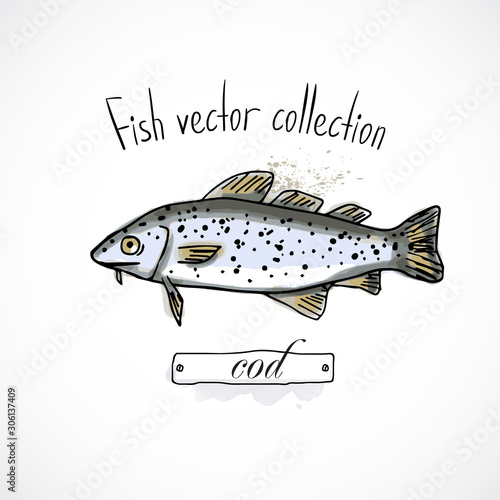 Hand drawn set watercolor ink, menu restaurant, sketch cartoon print vector illustration, sea food