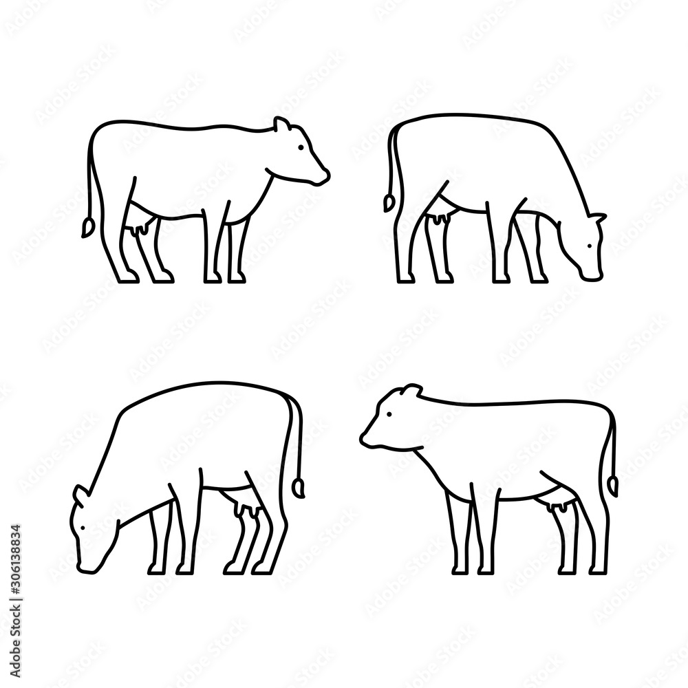 Set of Cows line icons. Icon design. Template elements Set of Cows line icons. Icon design. Template elements