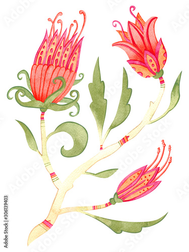 Beautiful watercolor paradise brunch with flowers. Fairytale folk hand painted illustration. Isolated on white.