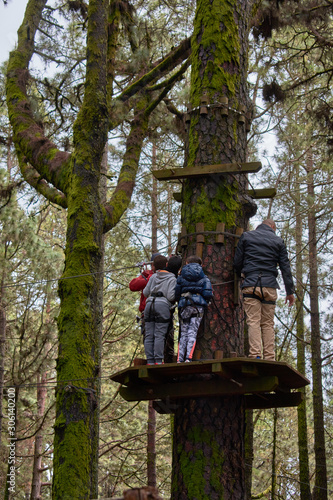adventure park among the trees of the forest