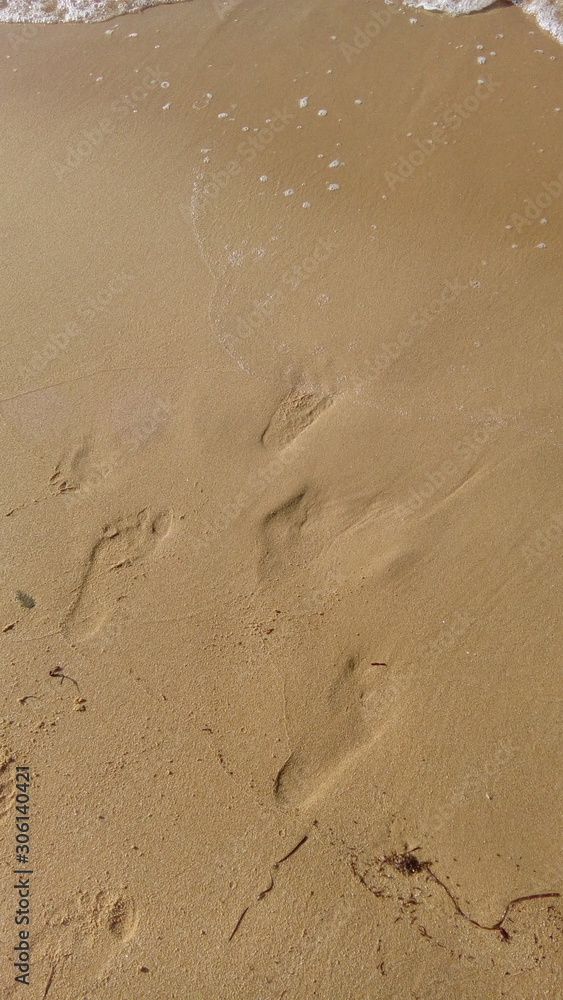 traces of people on the sand on the river bank traces of people on the sand on the river bank