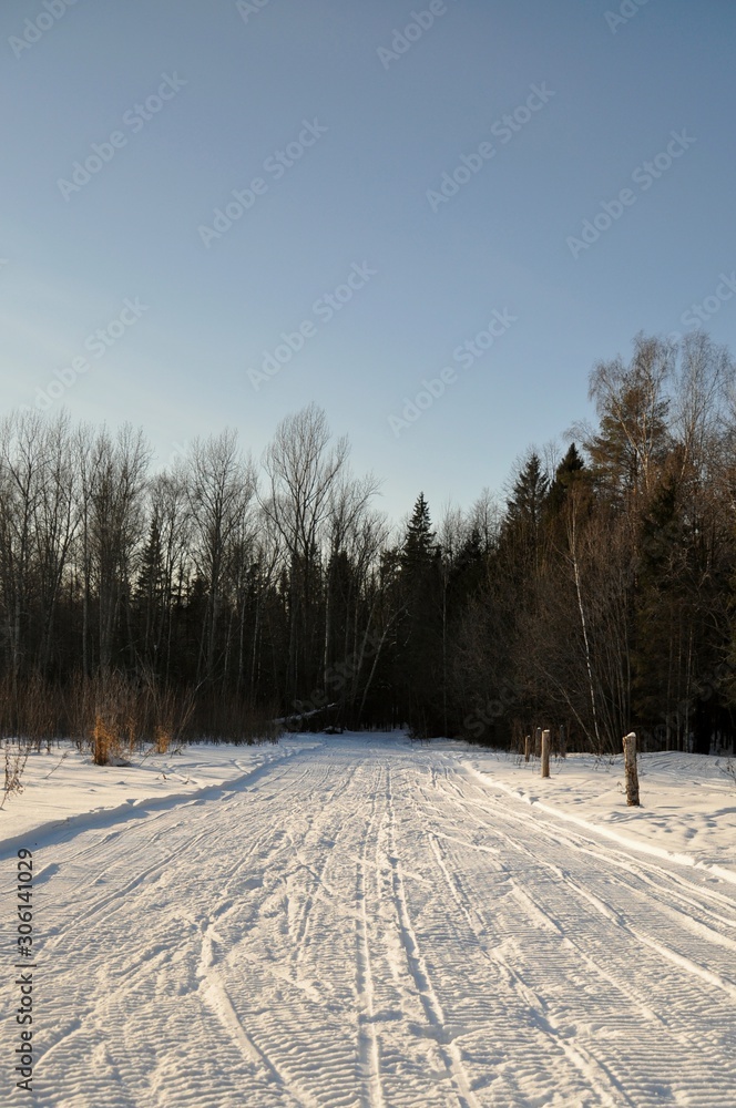 winter landscape with trees and road in winter winter landscape with trees and road in winter