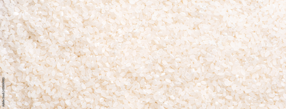 Raw white polished milled edible rice crop on white background in brown bowl, organic agriculture design concept. Staple food of Asia, close up. Raw white polished milled edible rice crop on white background in brown bowl, organic agriculture design concept. Staple food of Asia, close up.