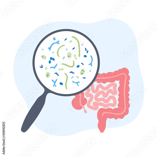 Vector isolated illustration of probiotics 