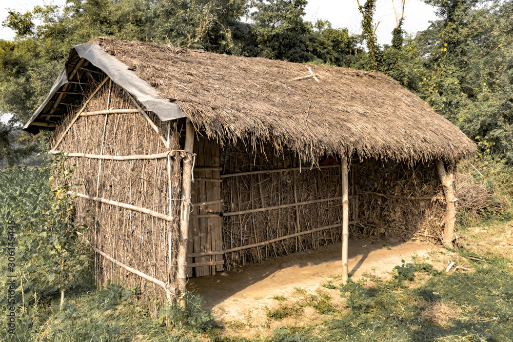 tribal-hut-having-thatched-roof-made-from-bamboo-straws-and-sticks-a