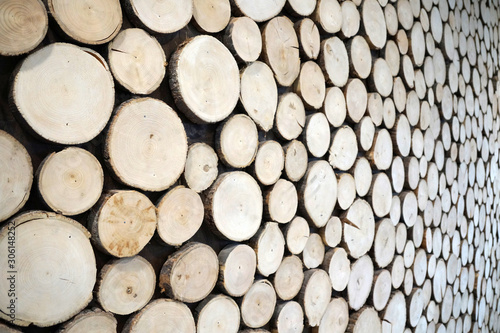 wall of wooden cuts for background in perspective
