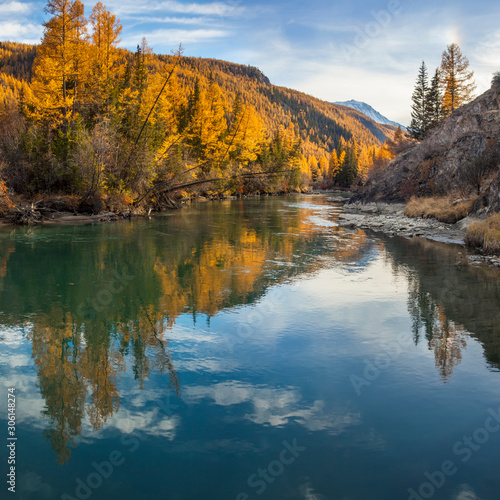 Wild mountain river  evening light. The calm flow of the river  forest shores. Wild place in Siberia.