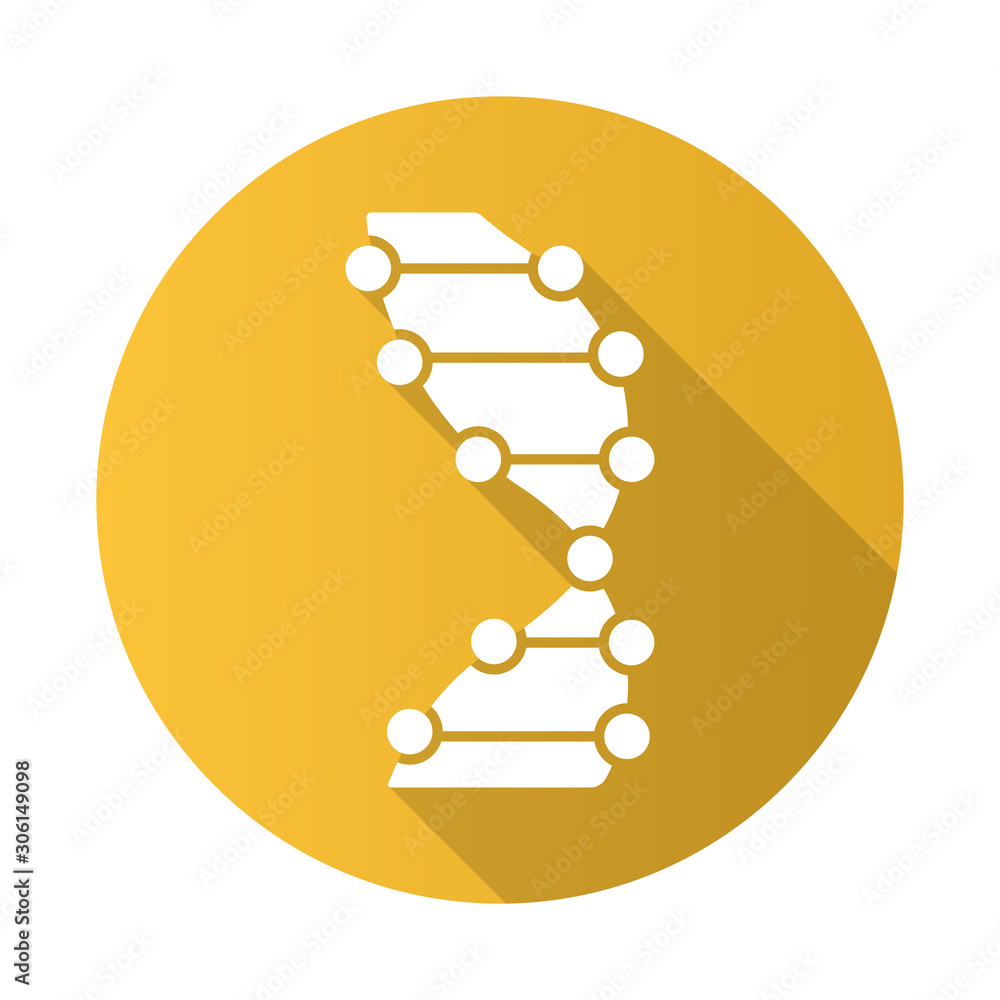 DNA helix yellow flat design long shadow glyph icon. Z-DNA. Connected dots, lines. Deoxyribonucleic, nucleic acid. Chromosome. Molecular biology. Genetic code. Genetics. Vector silhouette illustration DNA helix yellow flat design long shadow glyph icon. Z-DNA. Connected dots, lines. Deoxyribonucleic, nucleic acid. Chromosome. Molecular biology. Genetic code. Genetics. Vector silhouette illustration