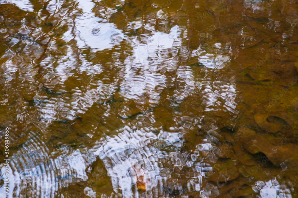 Obraz premium 2019_october_brazil_trip