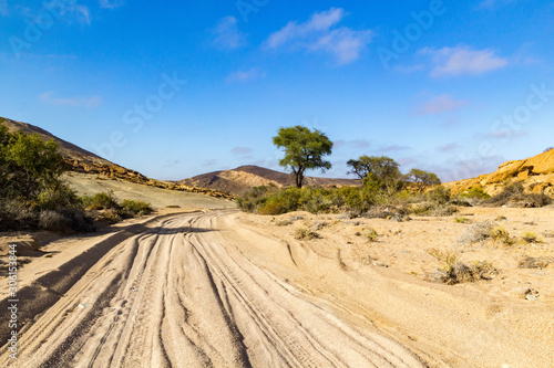 Fototapeta Naklejka Na Ścianę i Meble -  Sand track leads through the desert, Namib Naukluft Park, Namibia, Africa