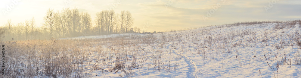 Naklejka premium Zimowy pejzaż - panorama
