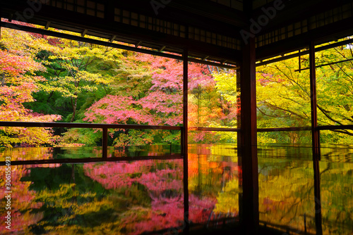 Rurikoin Temple, Kyoto City, Kyoto Pref., Japan photo